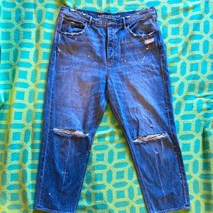 American Eagle 90’s boyfriend jeans. Size 18R.